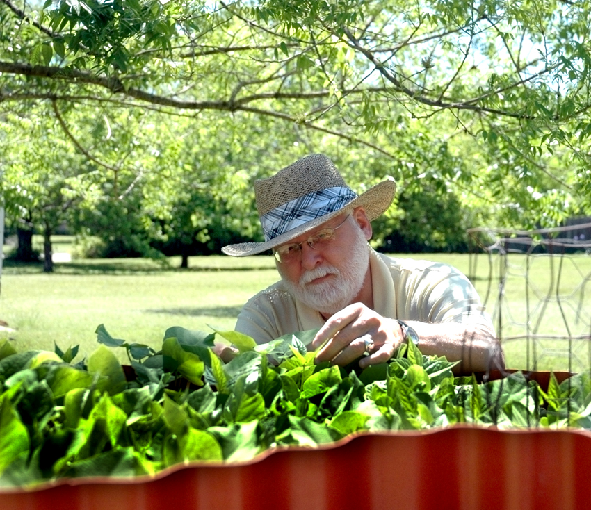 W. Leon Smith tends his keyhole garden.