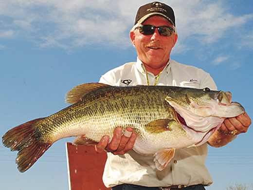 #496 — Mark Worthington of Abilene caught Toyota ShareLunker 496 from O.H. Ivie April 3. The fish was 21.25 inches in girth, 26.75 inches long, and weighed 13.68 pounds.  — TPWD Photo © 2010, Larry D. Hodge