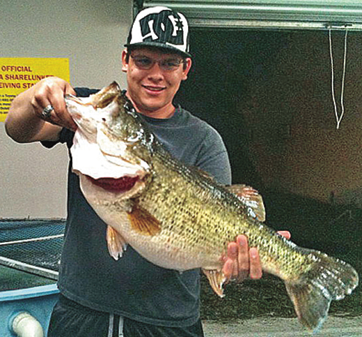 #497 — Joseph Burgi of Del Rio caught Toyota ShareLunker 497 from Lake Amistad on Easter Sunday. The fish weighed 13.34 pounds. Length and girth were not available at the time of writing. — Photo Courtesy of Anglers Lodge