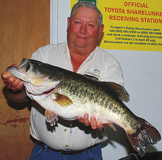#498 — Raymond Ivy of Brownwood caught Toyota ShareLunker 498 from O.H. Ivie Reservoir on April 5. The fish was 20.25 inches in girth, 26 inches in length and weighed 13.06 pounds. — TPWD Photo © 2010, Larry D. Hodge