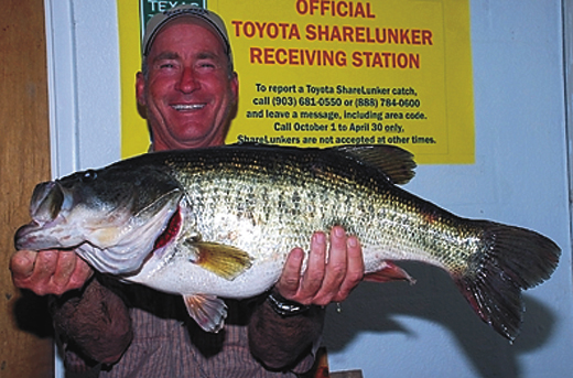 #499 — Bill Hunter III of Sweetwater caught Toyota ShareLunker 499 from O.H. Ivie Reservoir April 6. The fish was 20.5 inches in girth, 26.25 inches long and weighed 13.04 pounds. — TPWD Photo © 2010, Larry D. Hodge