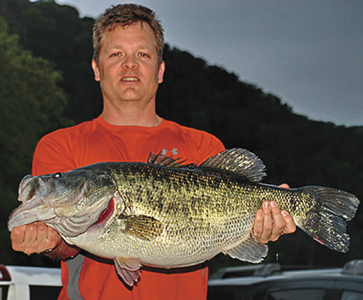 #501 — Jim McDaniel of Cedar Park caught Toyota ShareLunker 501 from Lake Austin April 11. The fish was 20.5 inches in girth, 26.5 inches long, and weighed 13.01 pounds. — TPWD Photo © 2010, David Campbell