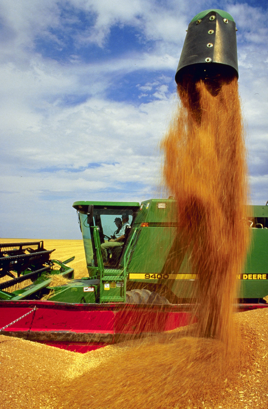 High yields and big variations in the price offered to farmers in the Texas Rolling Plains have contributed to gluts of wheat at co-op elevators. (U.S. Department of Agriculture photo by Scott Bauer)